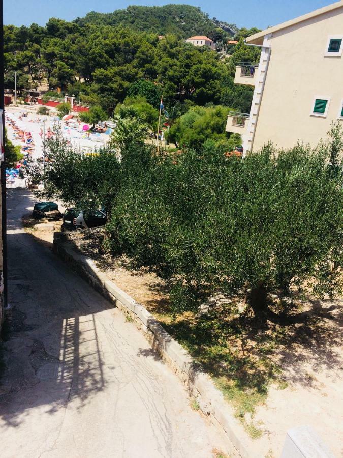 Kronjac * Milna (Hvar)